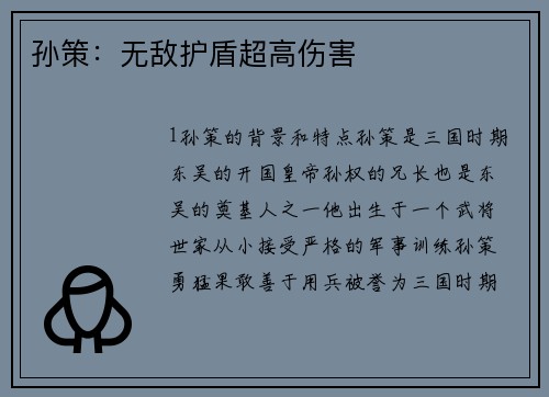 孙策：无敌护盾超高伤害